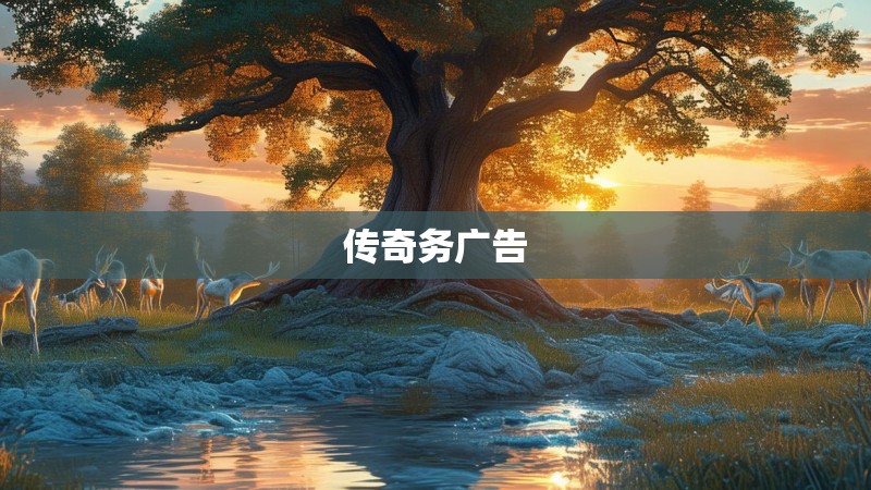 传奇务广告