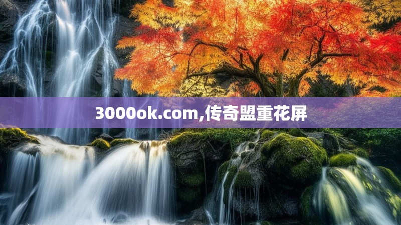 3000ok.com,传奇盟重花屏