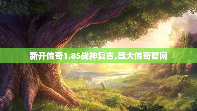 新开传奇1.85战神复古,盛大传奇官网