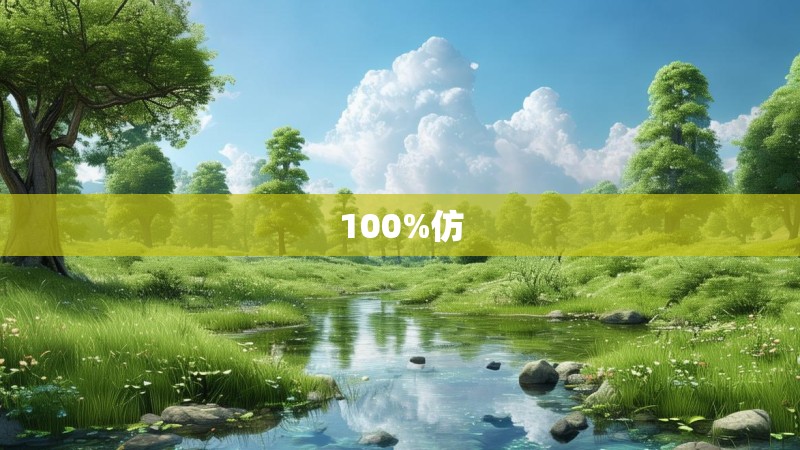 100%仿