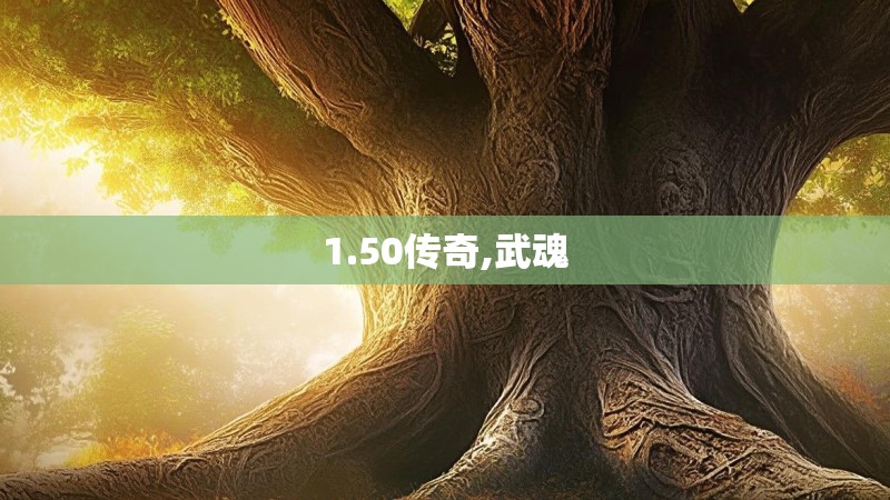 1.50传奇,武魂