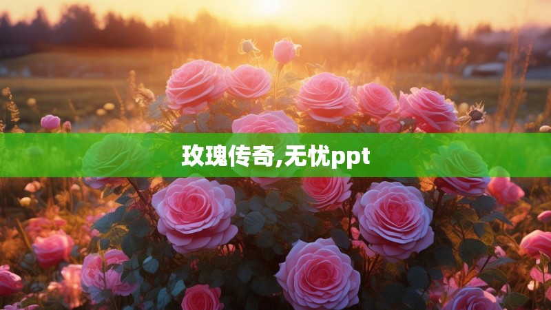 玫瑰传奇,无忧ppt