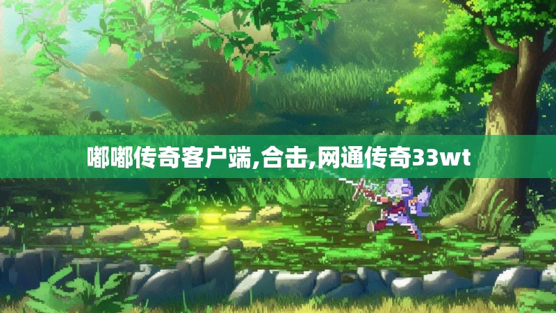 嘟嘟传奇客户端,合击,网通传奇33wt