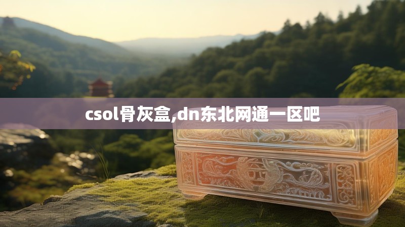 csol骨灰盒,dn东北网通一区吧