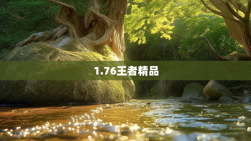 1.76王者精品