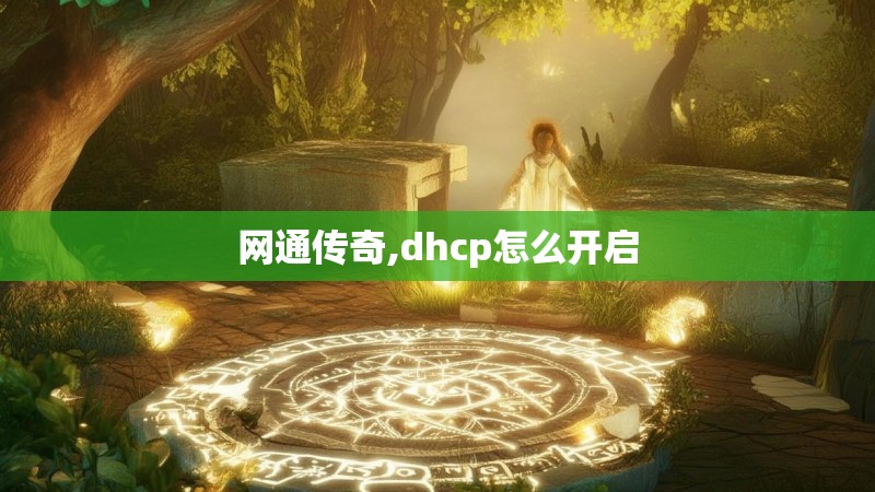 网通传奇,dhcp怎么开启