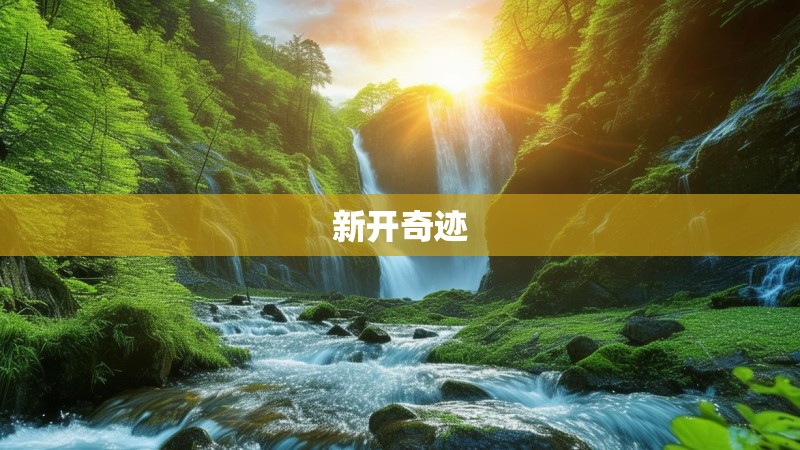 新开奇迹