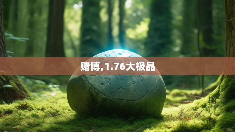 赌博,1.76大极品