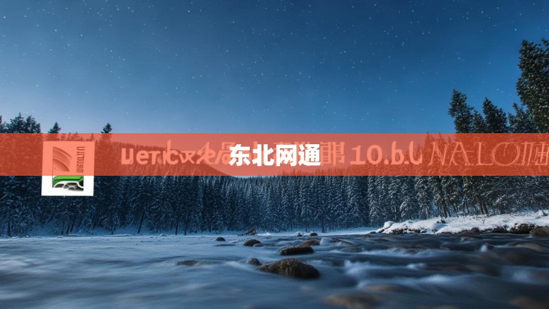 东北网通