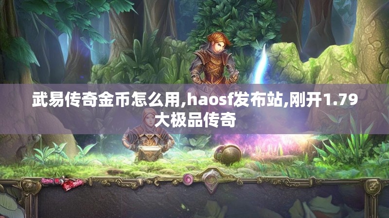 武易传奇金币怎么用,haosf发布站,刚开1.79大极品传奇