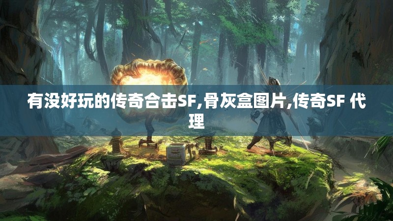 有没好玩的传奇合击SF,骨灰盒图片,传奇SF 代理