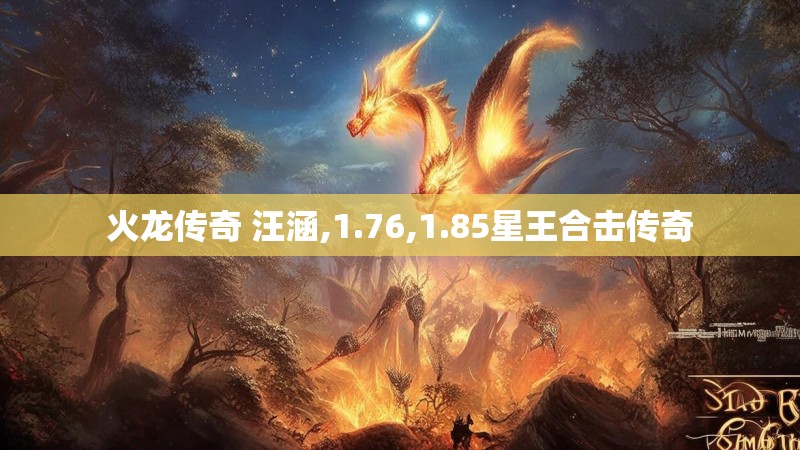 火龙传奇 汪涵,1.76,1.85星王合击传奇