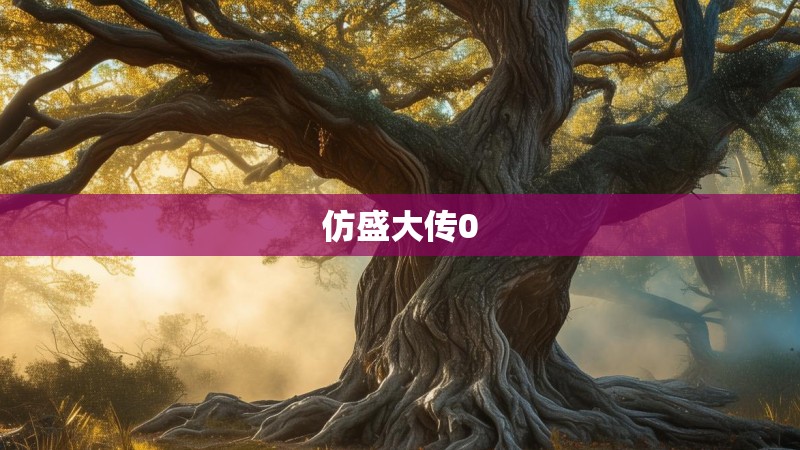 仿盛大传0