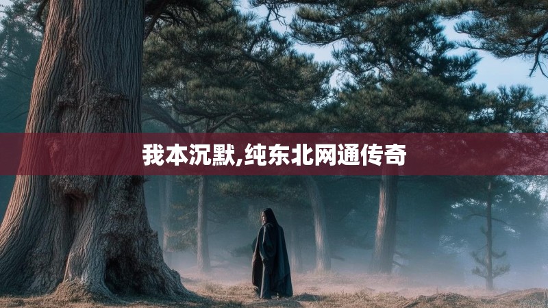 我本沉默,纯东北网通传奇