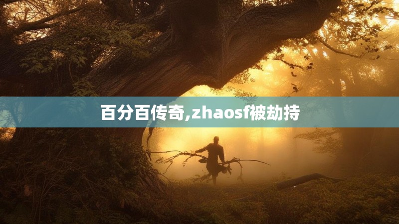 百分百传奇,zhaosf被劫持