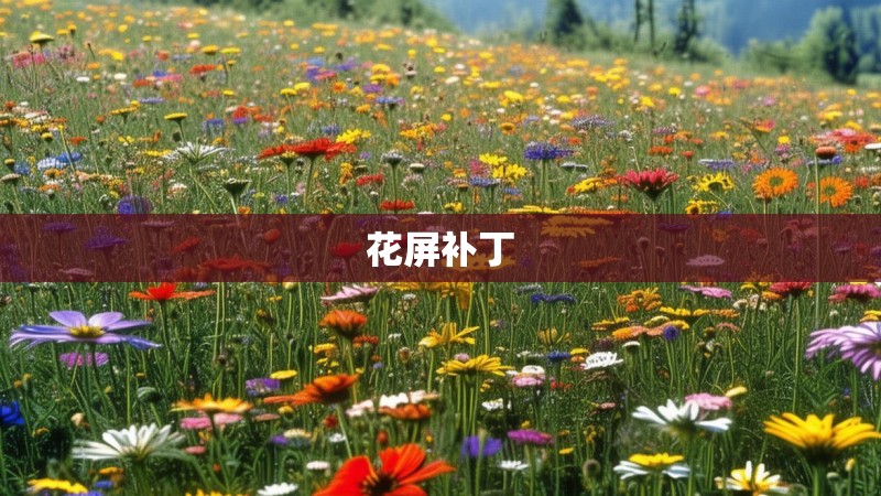 花屏补丁