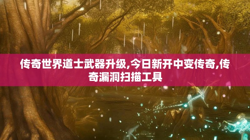 传奇世界道士武器升级,今日新开中变传奇,传奇漏洞扫描工具