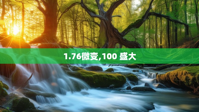 1.76微变,100 盛大
