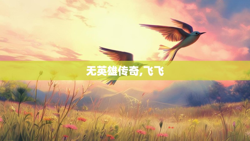 无英雄传奇,飞飞