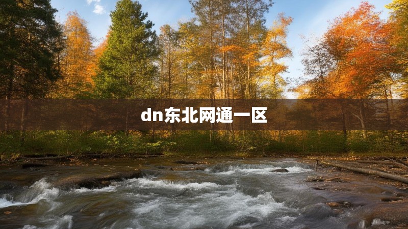 dn东北网通一区