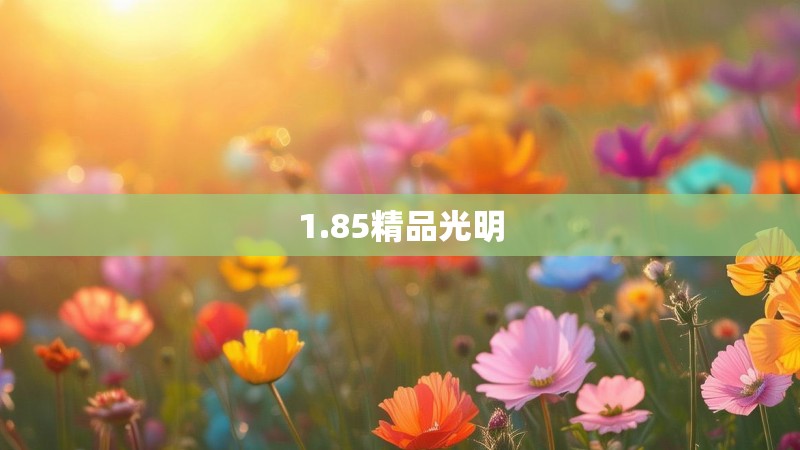 1.85精品光明