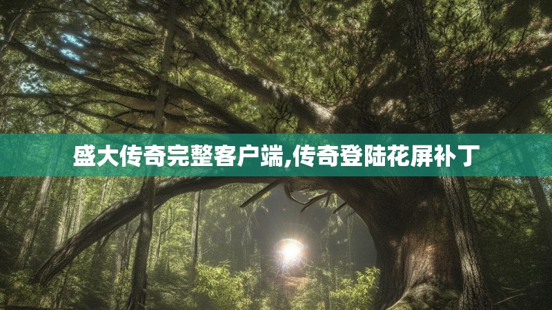 盛大传奇完整客户端,传奇登陆花屏补丁