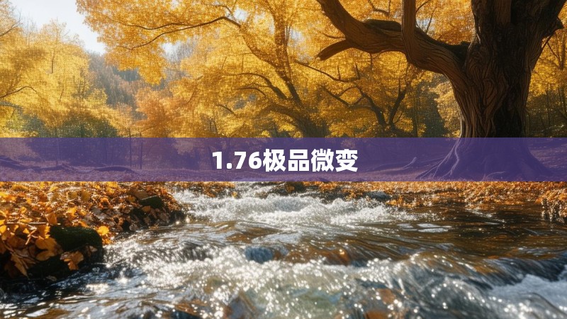 1.76极品微变
