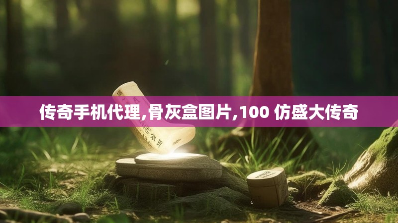 传奇手机代理,骨灰盒图片,100 仿盛大传奇