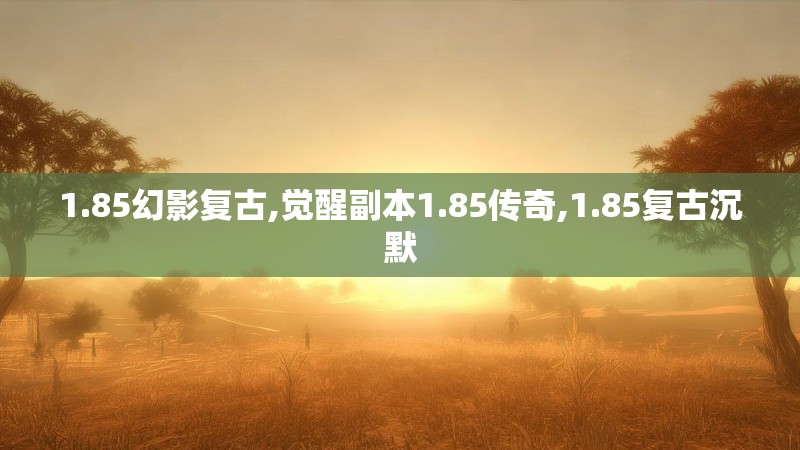 1.85幻影复古,觉醒副本1.85传奇,1.85复古沉默