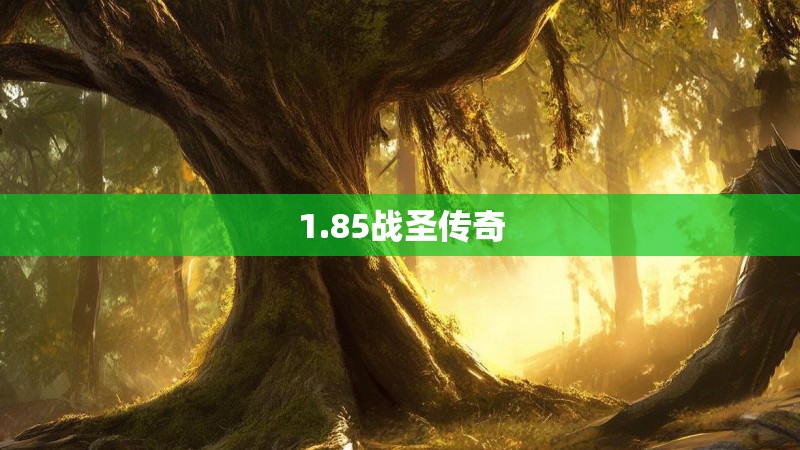 1.85战圣传奇