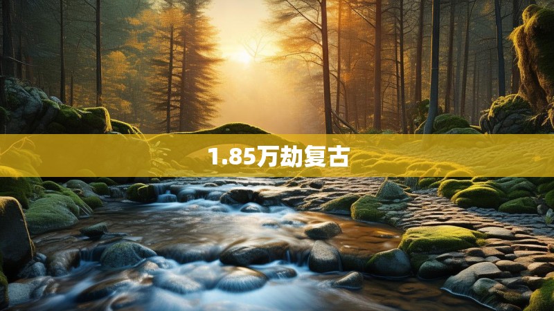 1.85万劫复古