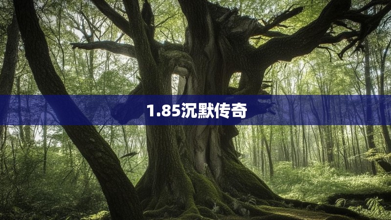 1.85沉默传奇