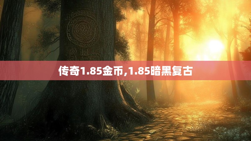 传奇1.85金币,1.85暗黑复古