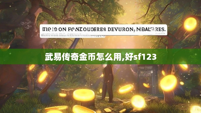 武易传奇金币怎么用,好sf123
