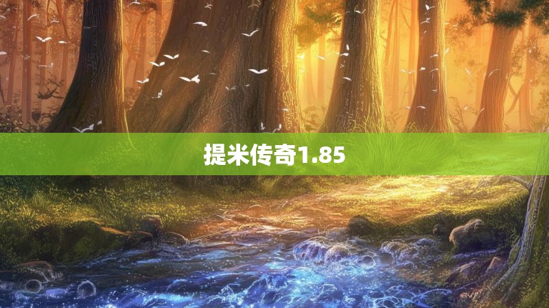 提米传奇1.85