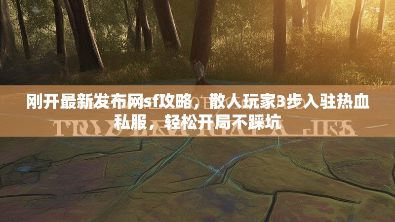 刚开最新发布网sf攻略，散人玩家3步入驻热血私服，轻松开局不踩坑