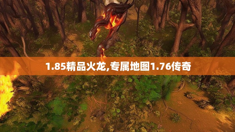 1.85精品火龙,专属地图1.76传奇