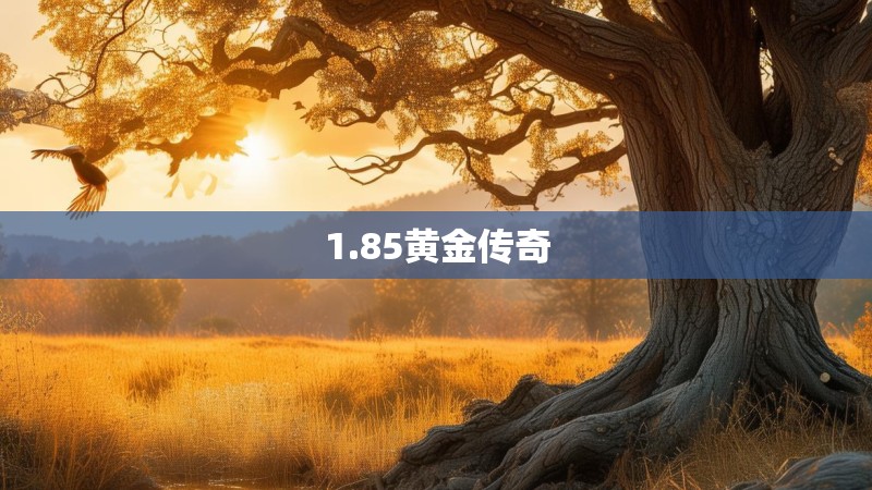 1.85黄金传奇
