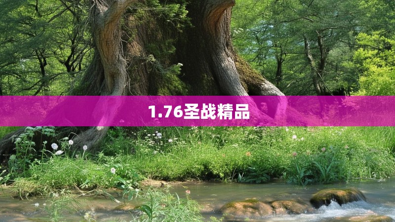 1.76圣战精品