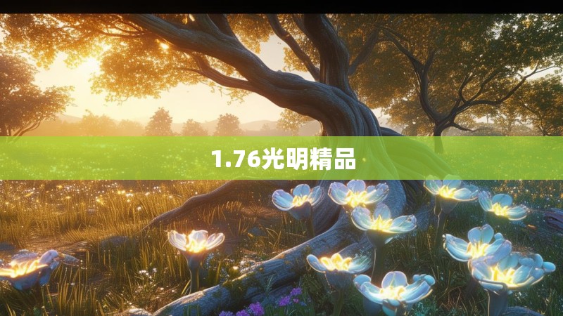1.76光明精品