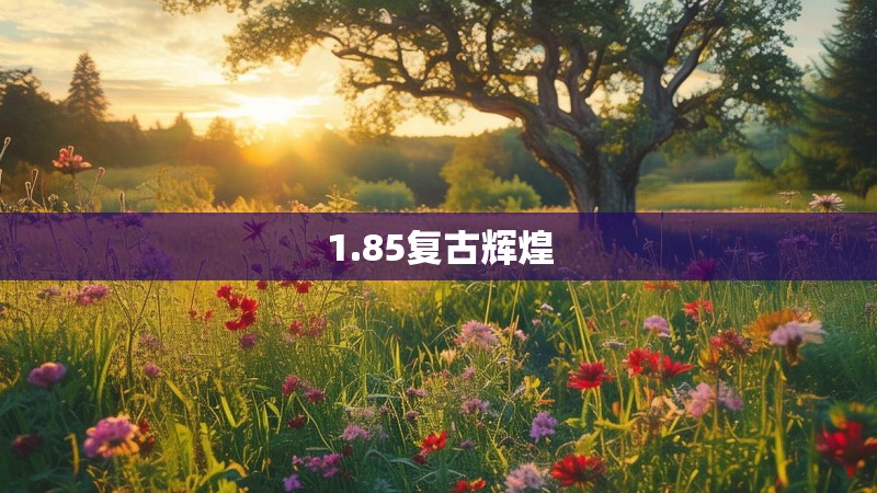 1.85复古辉煌