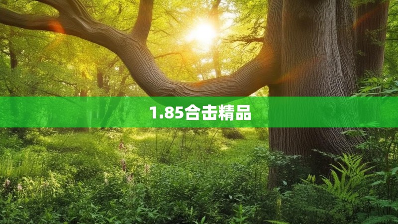 1.85合击精品