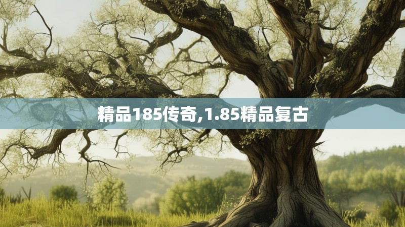 精品185传奇,1.85精品复古