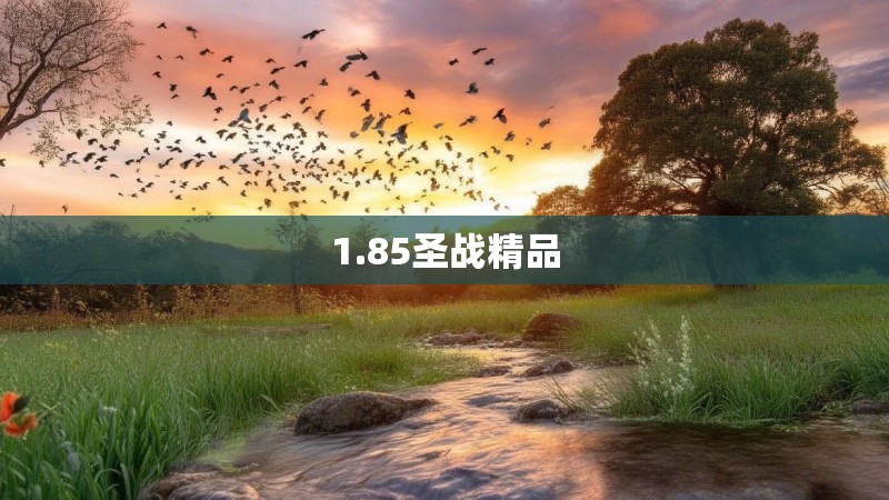1.85圣战精品