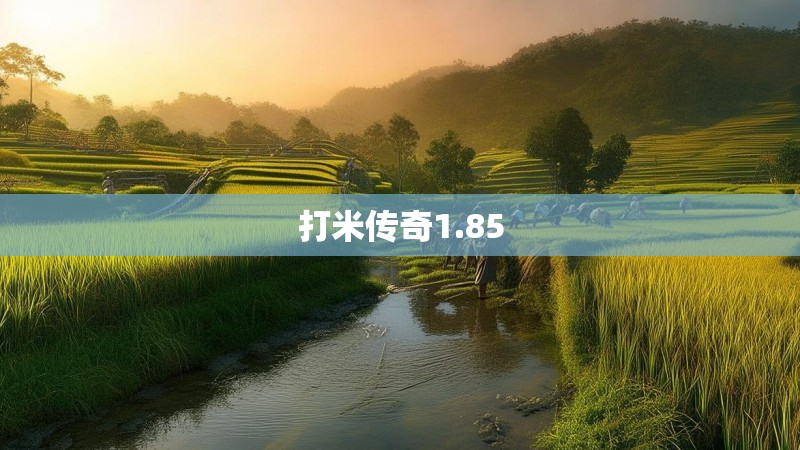 打米传奇1.85