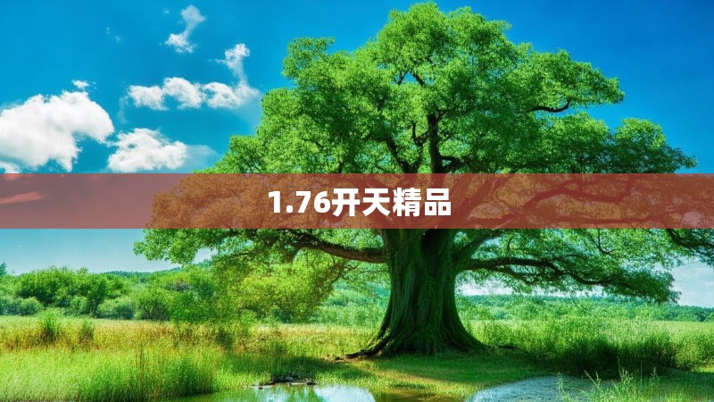 1.76开天精品