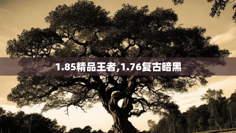 1.85精品王者,1.76复古暗黑
