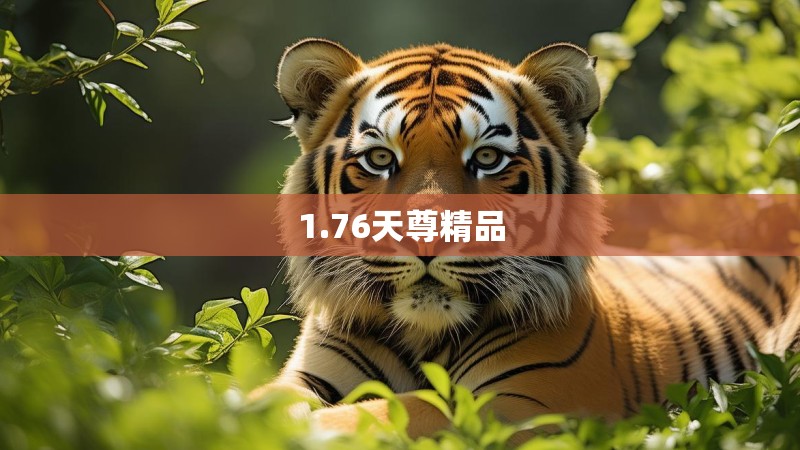 1.76天尊精品