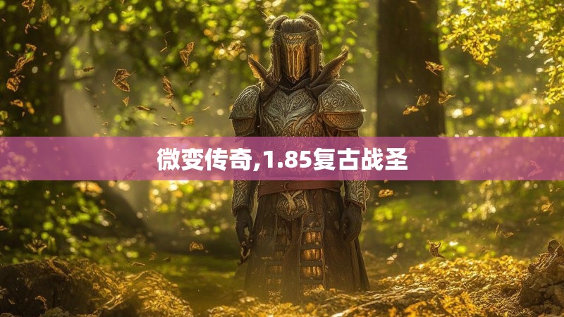 微变传奇,1.85复古战圣 微变传奇,1.85复古战圣