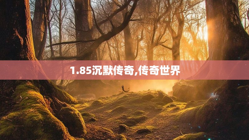 1.85沉默传奇,传奇世界